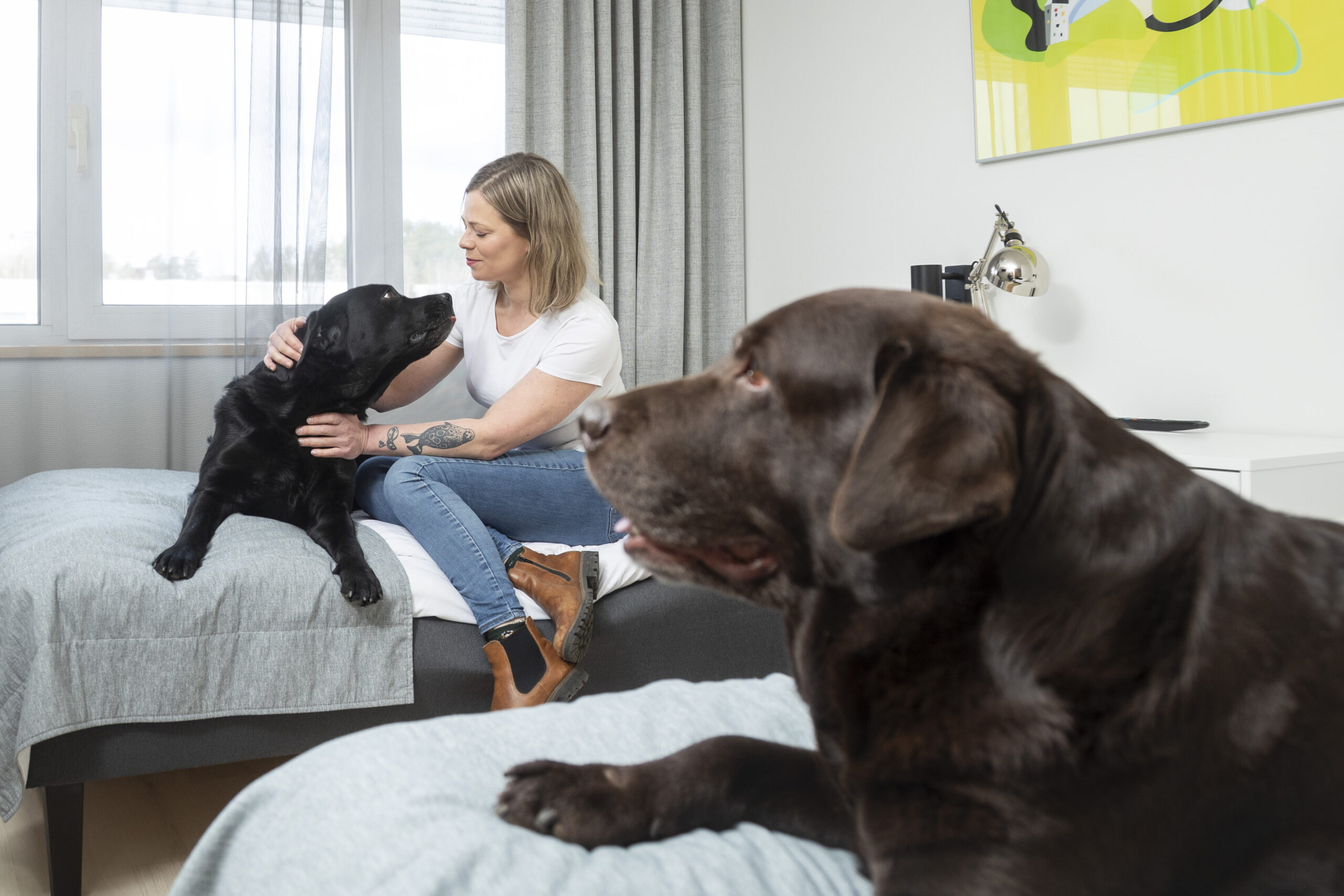 Nainen majoittuu hotellihuoneessa kahden koiransa kanssa